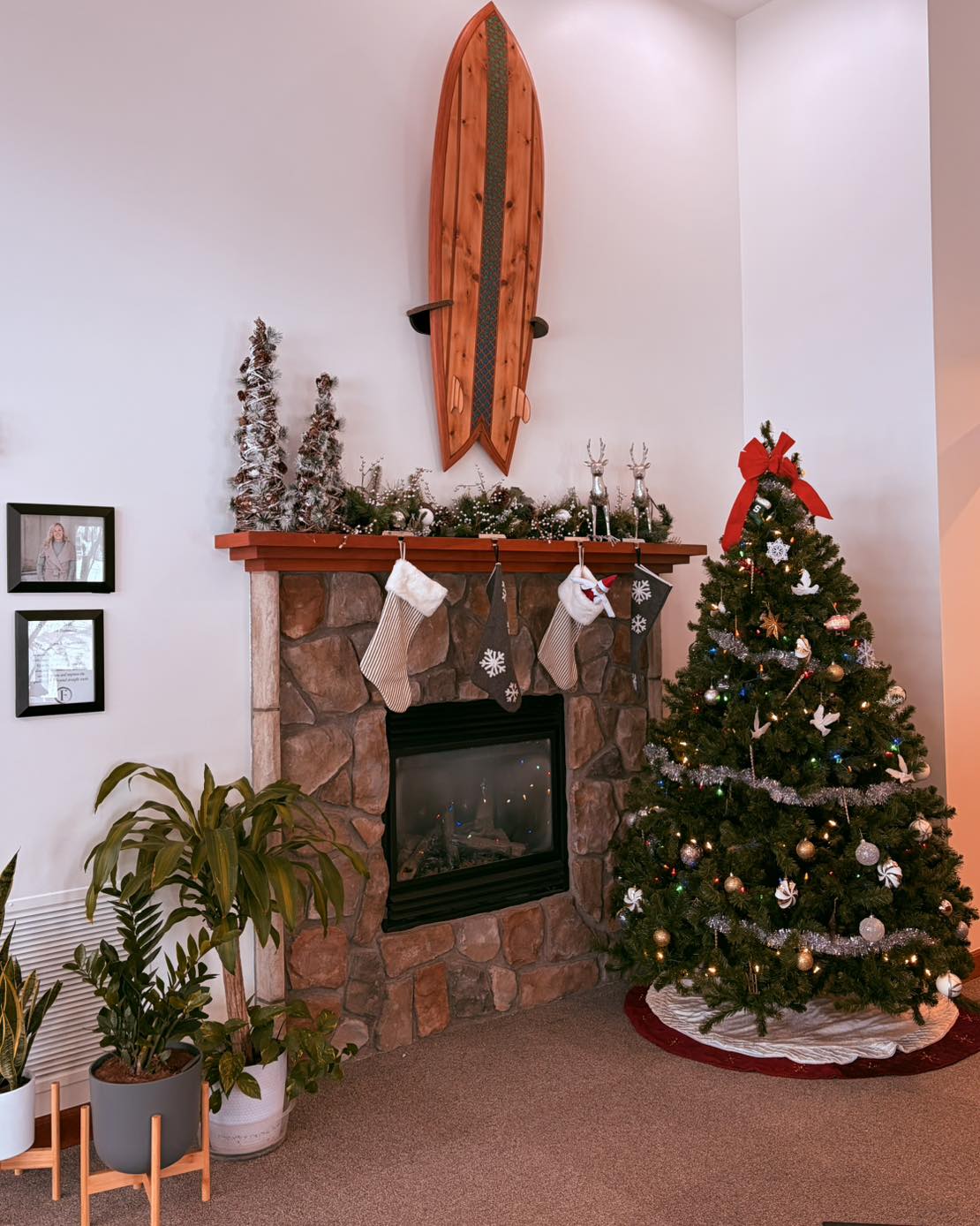 Fry Integrative Orthodontics – Petoskey